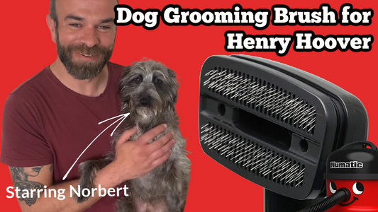 Henry Hoover Dog Grooming Tool Attachment - Henry Bags